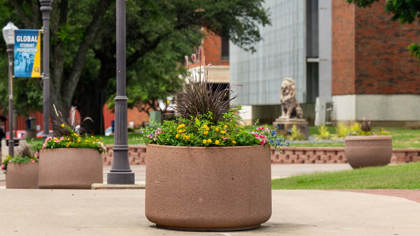 Exterior picture of walkway outside the library, showing flower pots and green grass.